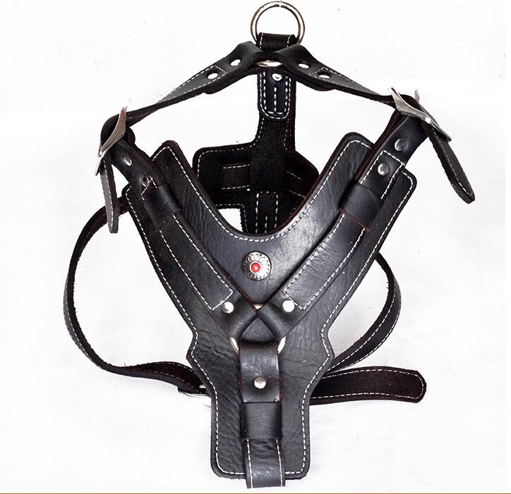 Harnais pour chien en cuir véritable – Image 2