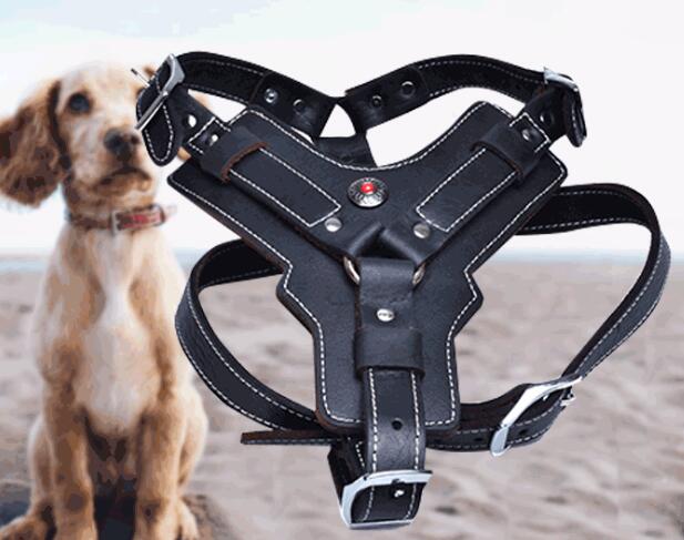 Harnais pour chien en cuir véritable