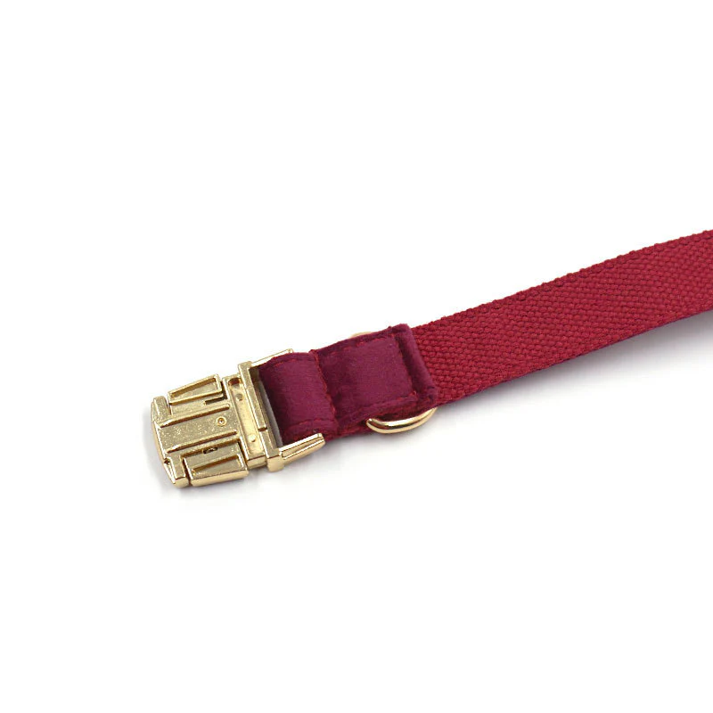 Ensemble collier personnalisé avec laisse et nœud papillon en velours – Image 7