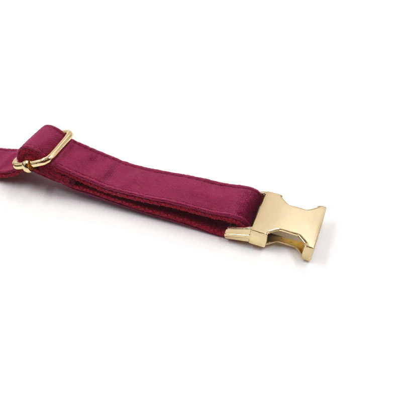 Ensemble collier personnalisé avec laisse et nœud papillon en velours – Image 6