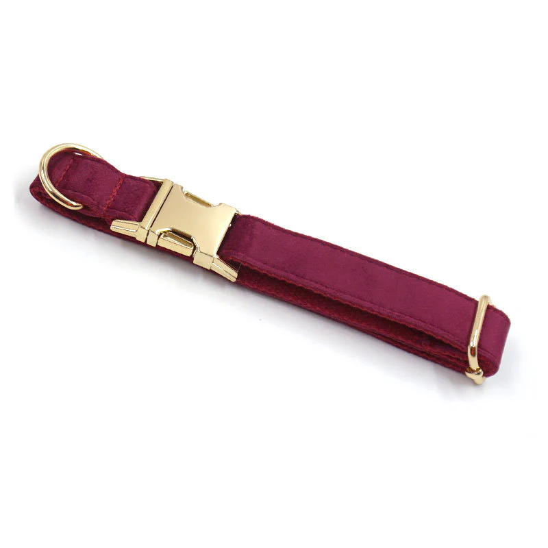 Ensemble collier personnalisé avec laisse et nœud papillon en velours – Image 5