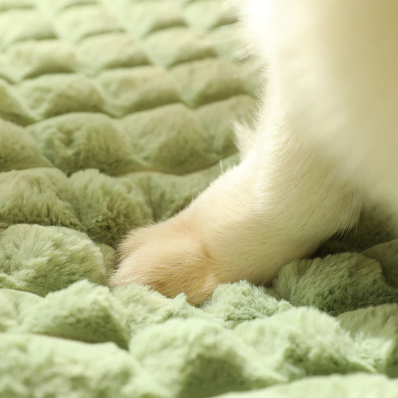 Panier orthopédique avec housse amovible pour chien – Image 2