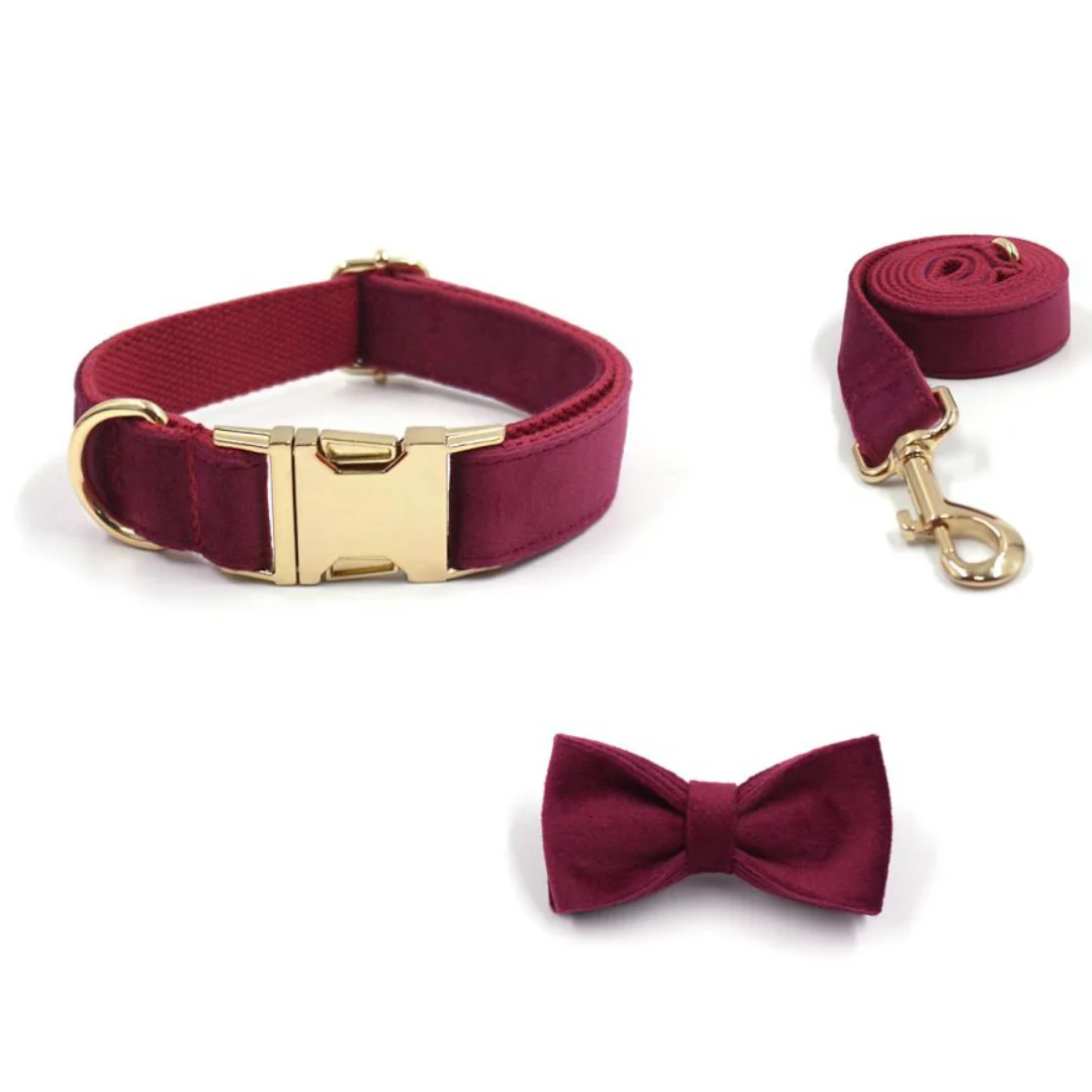 Ensemble collier personnalisé avec laisse et nœud papillon en velours