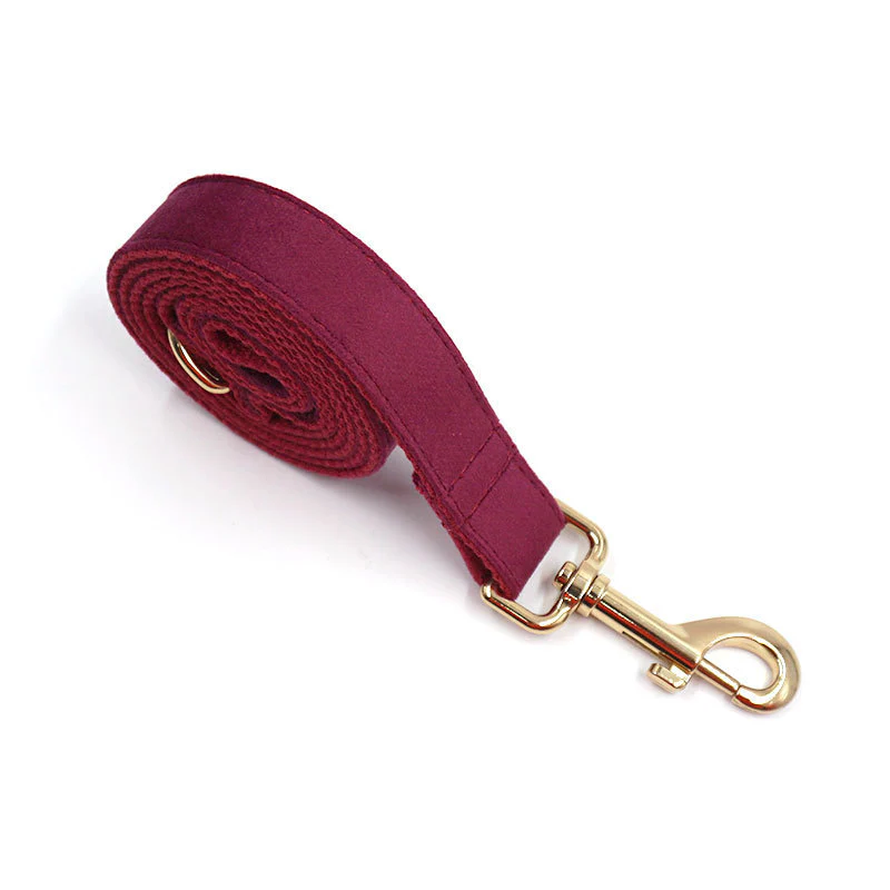 Ensemble collier personnalisé avec laisse et nœud papillon en velours – Image 8