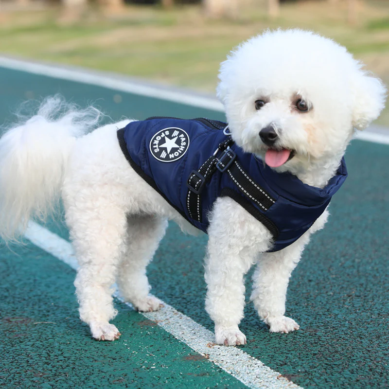Manteau imperméable pour chien  coupe-vent avec harnais intégré
