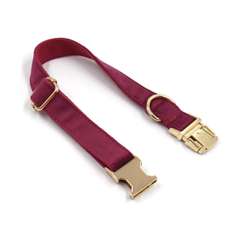 Ensemble collier personnalisé avec laisse et nœud papillon en velours – Image 2