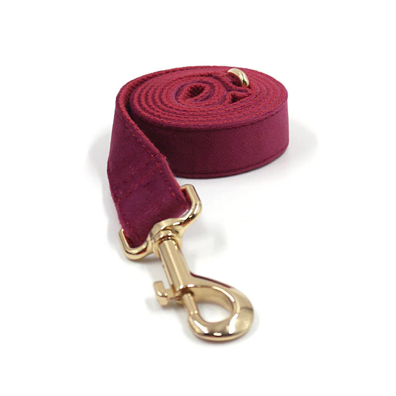 Ensemble collier personnalisé avec laisse et nœud papillon en velours – Image 3