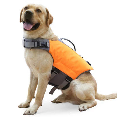Gilet de sauvetage pour chien résistant